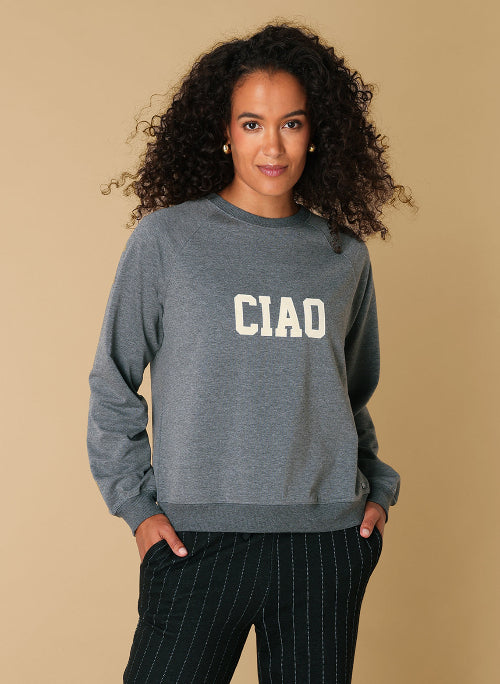 Sweater grijs dames ivy beau trui